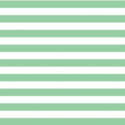 Horizontal Candy Stripe in Sprout