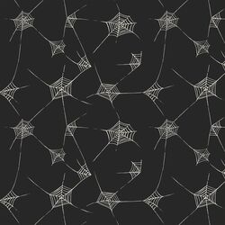 Spiderwebs in Charcoal