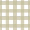 Large Gingham in Light Mossy Green