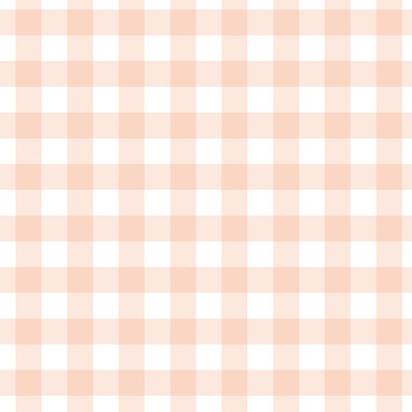 Gingham in Peaches