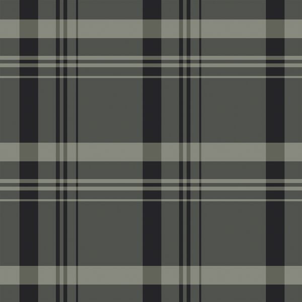 Large Plaid in Evening