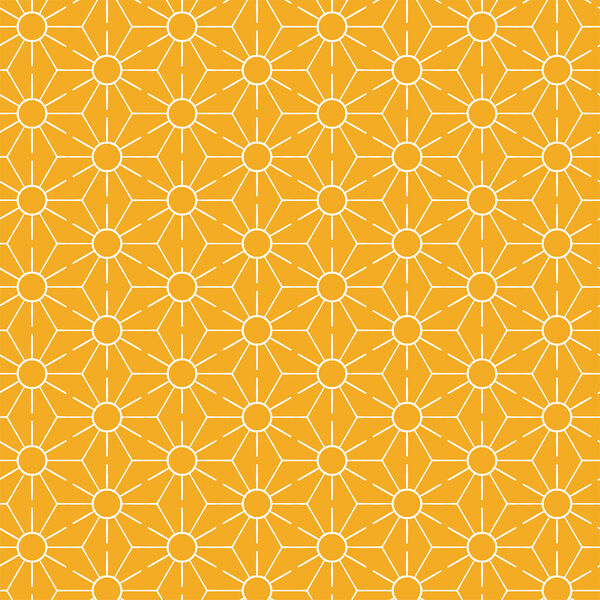 Sunkissed in Golden Rays