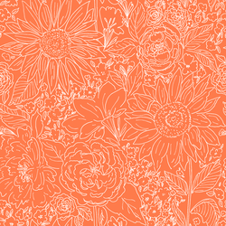 Paperie in Carrot