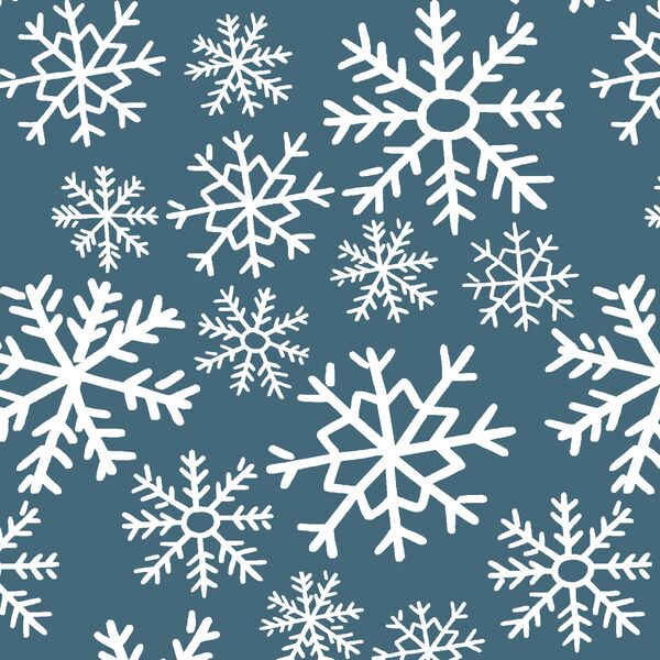 Dashing Through the Snow in Lake