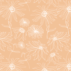 Aster Sketch in Bloom