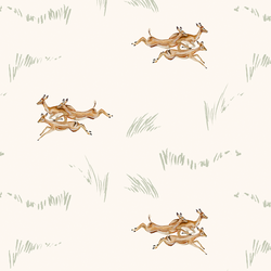 Jumping Impala in Adventure