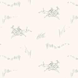 Jumping Impala in Baobob