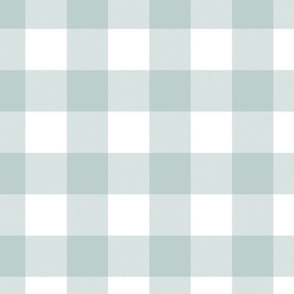 Winter Gingham in Ice Blue