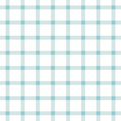 Summer Gingham Check in Raindrop