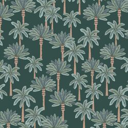 Prehistoric Forest in Cycad