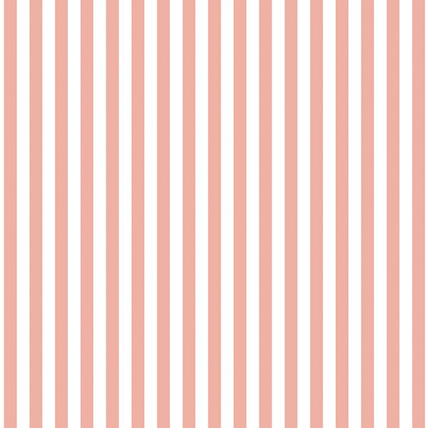 Dress Stripe in Peony