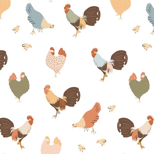 Cluck Cluck in White