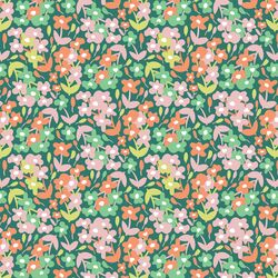 Daisy Field in Green Path