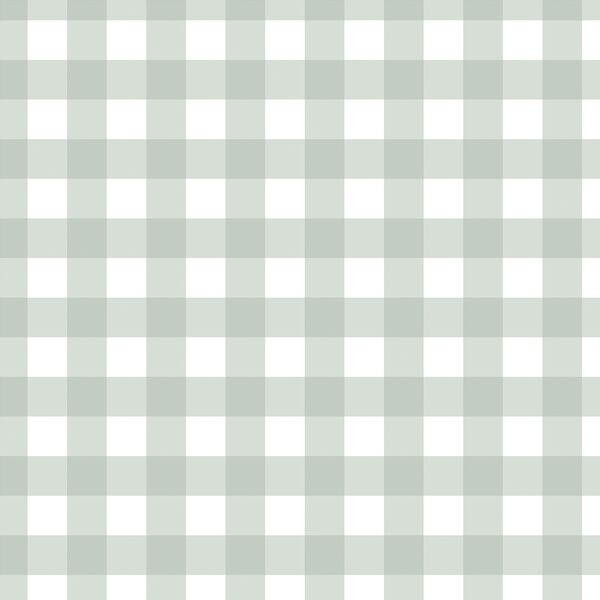 Gingham in Mint
