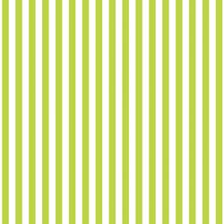 Dress Stripe in Lime