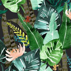 Rainforest in Shade