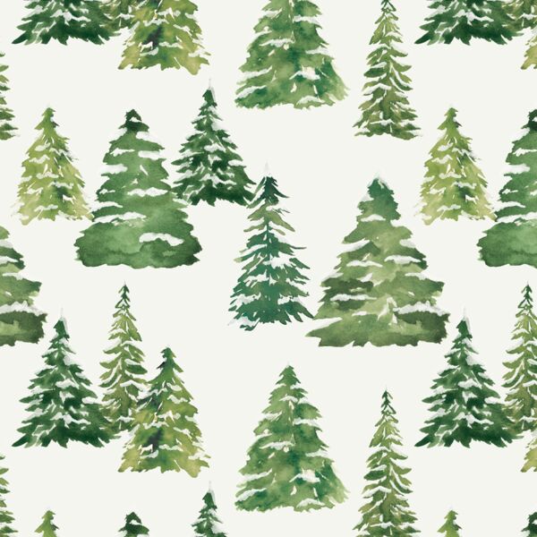 Pine Forest in Snow