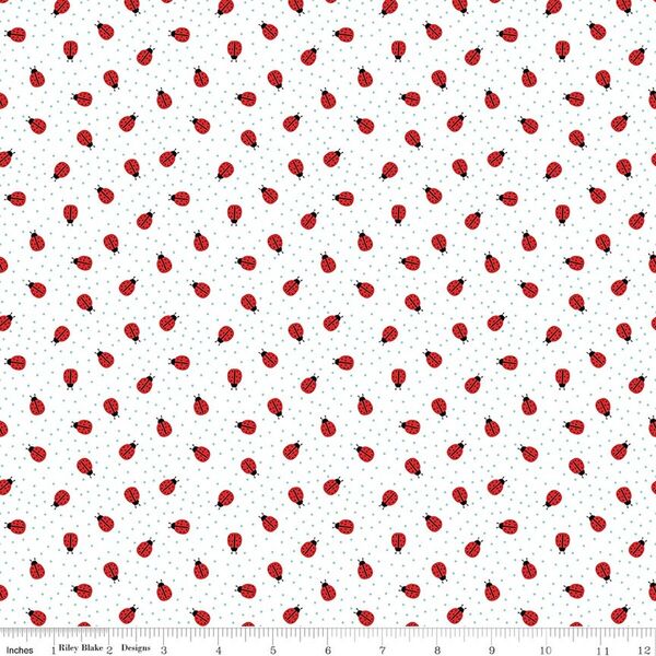 Ladybugs in White
