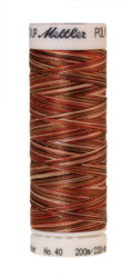 Autumn Spice (4820-9302) - Poly Sheen Multi - 220 Yards