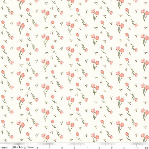 Tulips in Cream