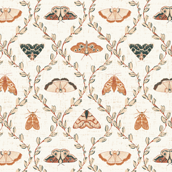 Divine Moths in Woodland
