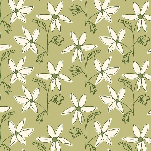 Daisies in Pistache