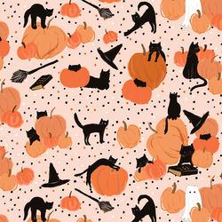 Large Black Cats and Pumpkins in Blushing
