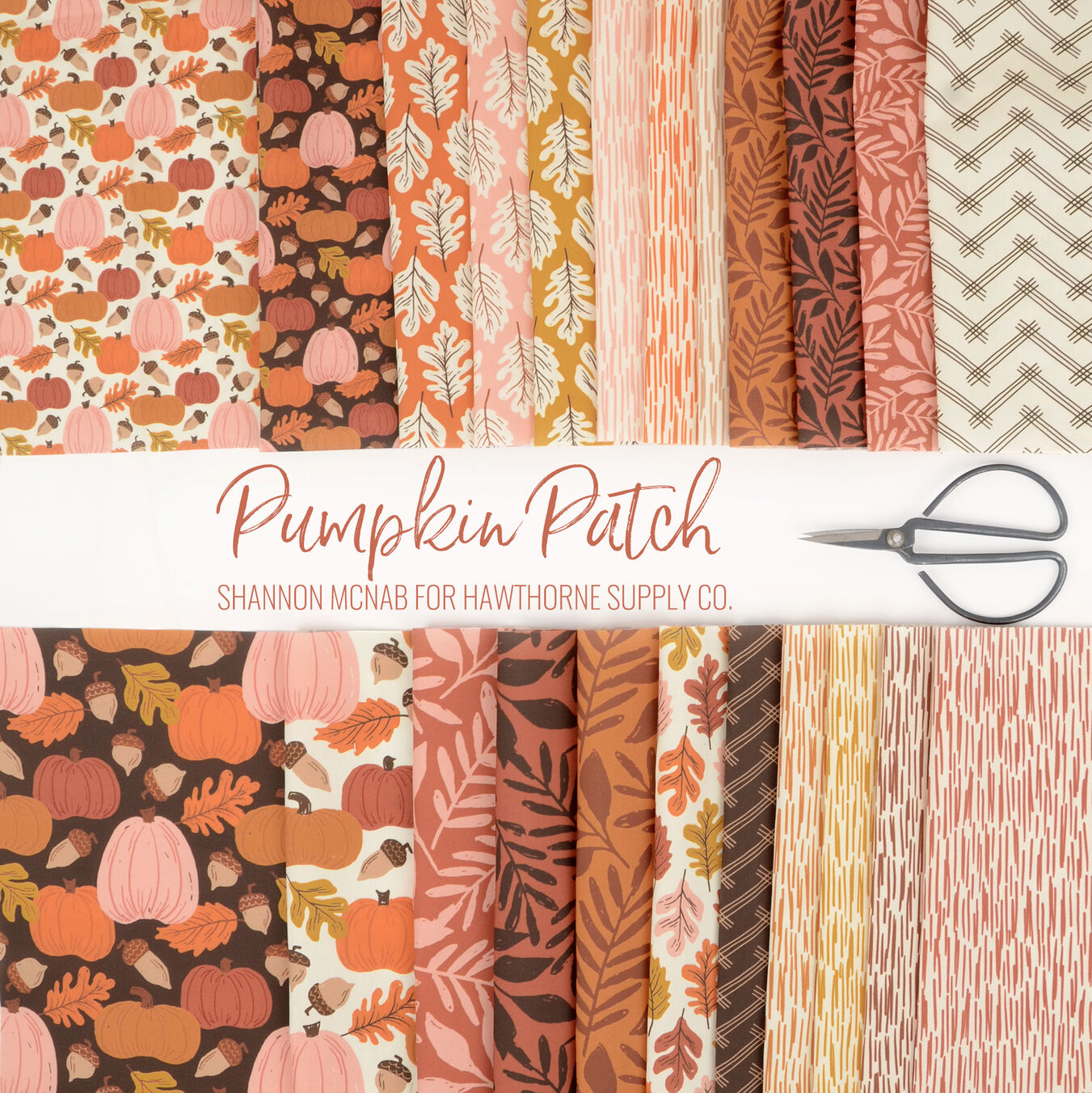 Pumpkin Patch Poster Image