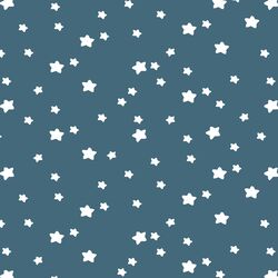 Star Light in Lake