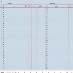Ledger Paper in Blue