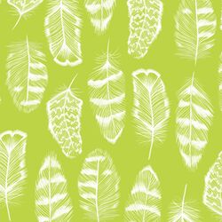 Plume in Lime