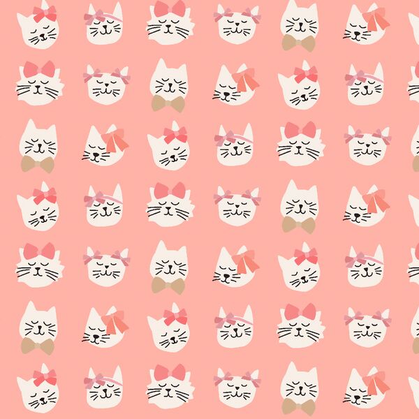 Beaux Chats in Valentine