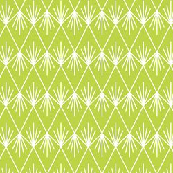 Northern Reflections in Lime