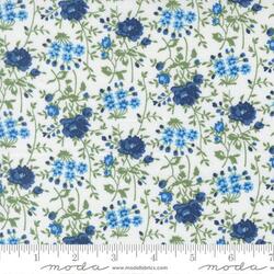 Bloomsbury in Multi