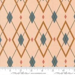 Are You My Argyle in Pink