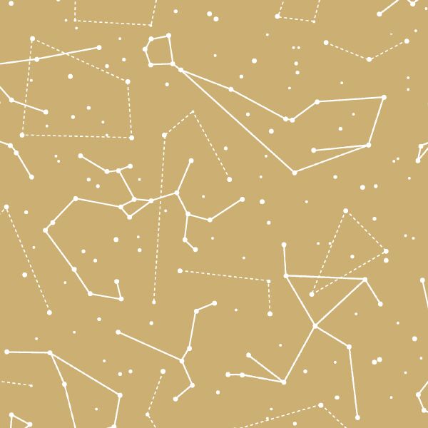 Star Charts in Golden Canyon