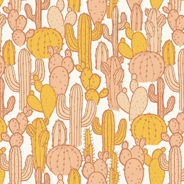 Cactus Patch in Sunshine