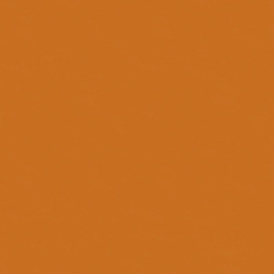 Bella Solids in Pumpkin
