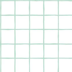 Windowpane in Mint on White