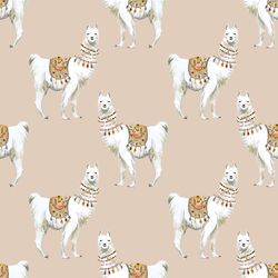 Llamas in Cashmere