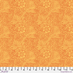 Marigold in Sunshine