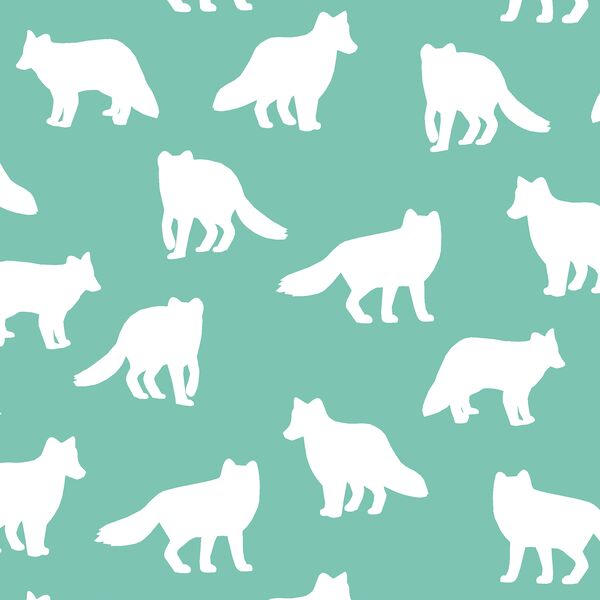 Fox Silhouette in Succulent