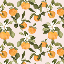 Orange Blossom in Pale Dawn