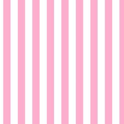 Sweet Summer Stripe in Daisy Pink