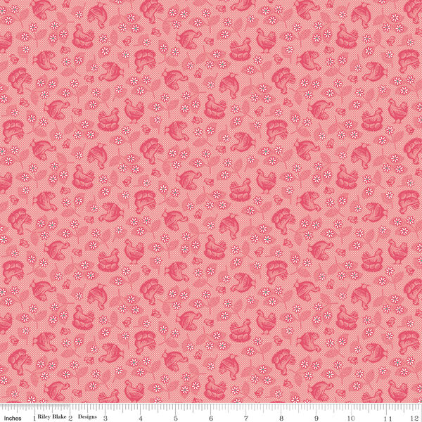 Hens & Chicks in Coral