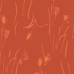 Seed Head in Six