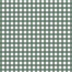 Gingham in Rain