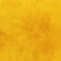 Palette in Saffron