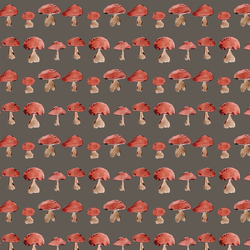 Toadstool Collection in Timberwood
