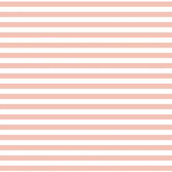 Horizontal Dress Stripe in Petal